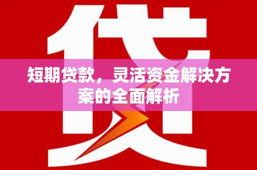 墨竹工卡短期贷款，灵活资金解决方案的全面解析