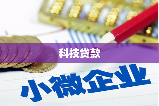 普湾新区科技贷款