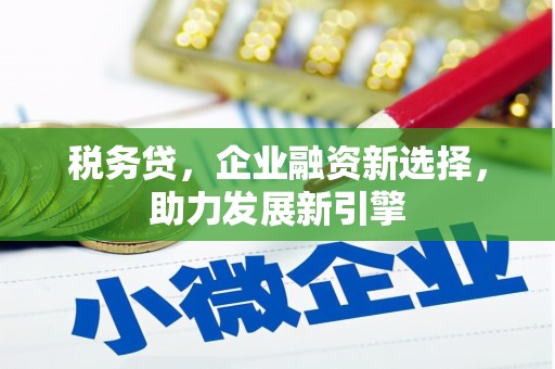 张北税务贷，企业融资新选择，助力发展新引擎