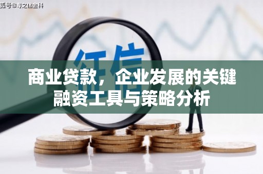 新泰商业贷款，企业发展的关键融资工具与策略分析