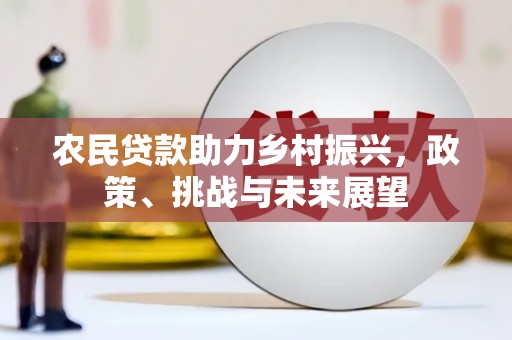 包河农民贷款助力乡村振兴，政策、挑战与未来展望