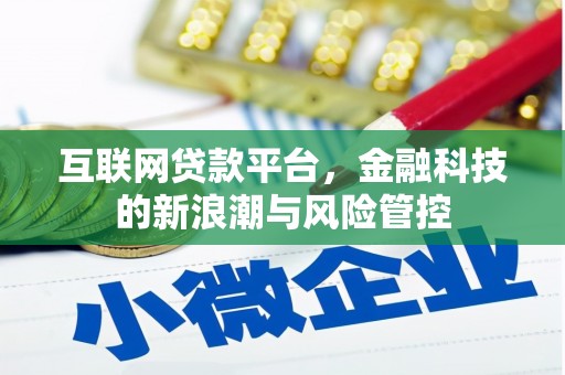 丰润互联网贷款平台，金融科技的新浪潮与风险管控