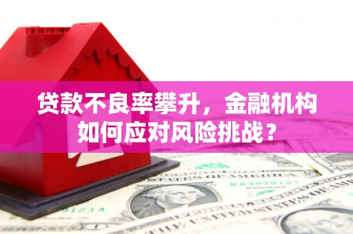 站前贷款不良率攀升，金融机构如何应对风险挑战？