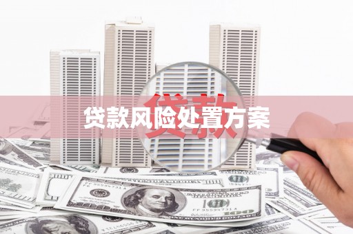 武隆贷款风险处置方案