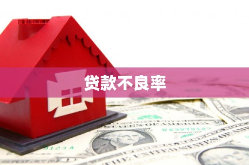 皇姑贷款不良率