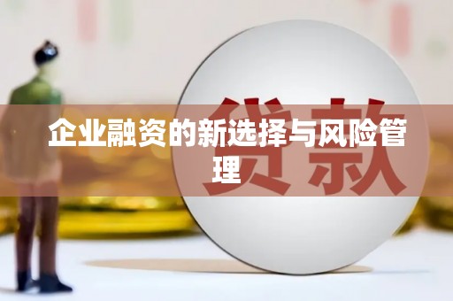 金湾企业融资的新选择与风险管理