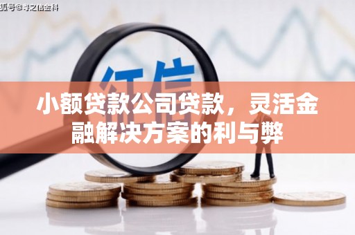 鄢陵小额贷款公司贷款，灵活金融解决方案的利与弊