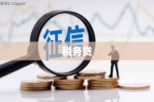 溪口税务贷